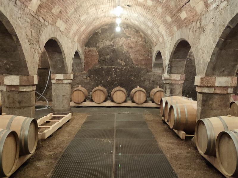 Photo d’illustration : une grande cave à voûtes en pierre, avec des fûts en bois alignés de chaque côté d’une allée.